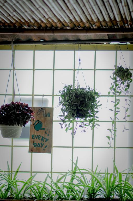 Tuti Tong Dan Homestay Hanoi Exterior photo